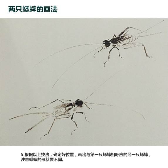 蟋蟀简笔画