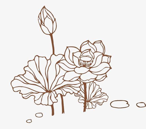 莲花简笔画