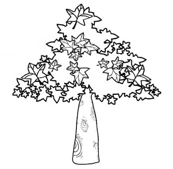 秋天的树简笔画