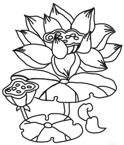 莲花简笔画