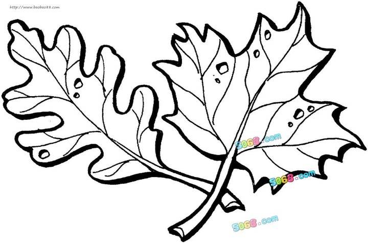 世界杯主题简笔画植物大全