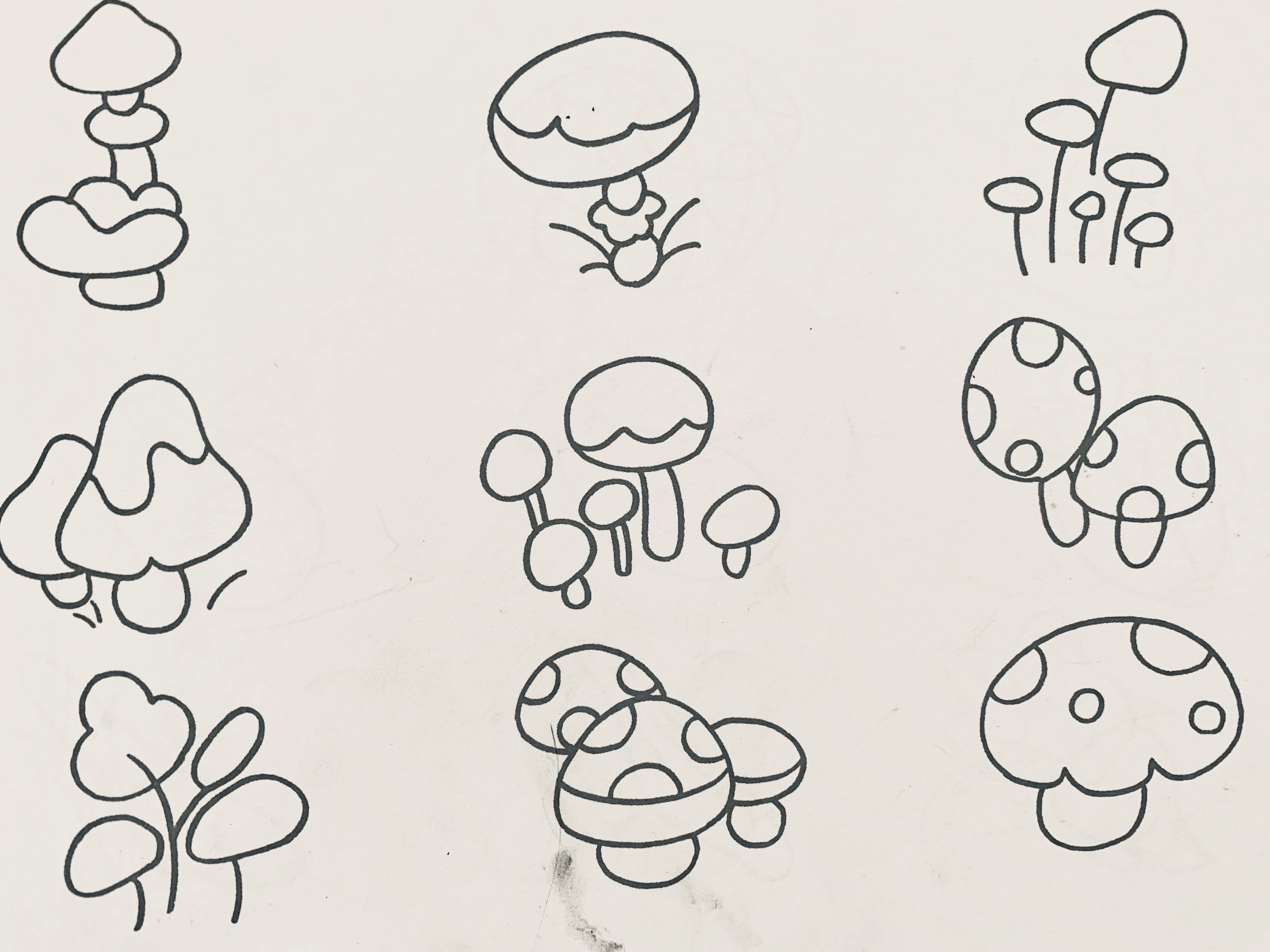 世界杯主题简笔画植物大全