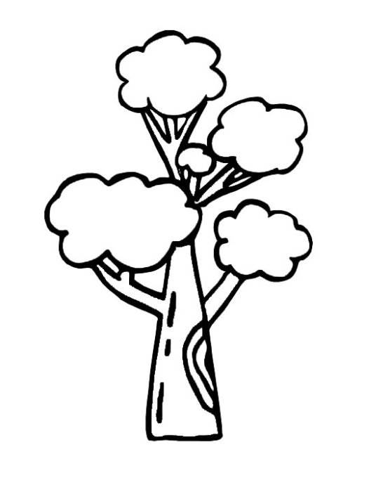树木简笔画
