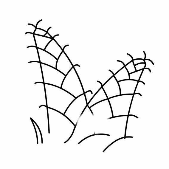 竹笋 简笔画