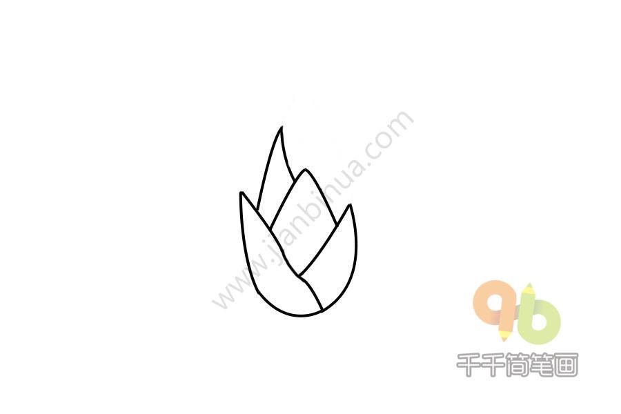 竹笋 简笔画