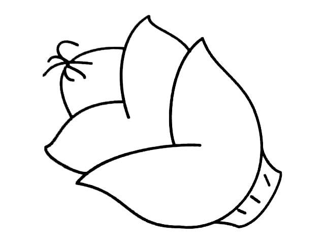 竹笋 简笔画