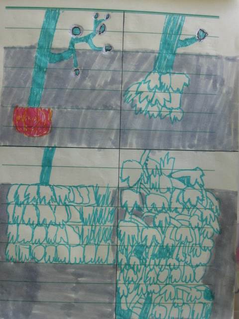 爬山虎的脚简笔画