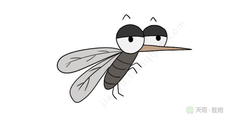 蚊子简笔画