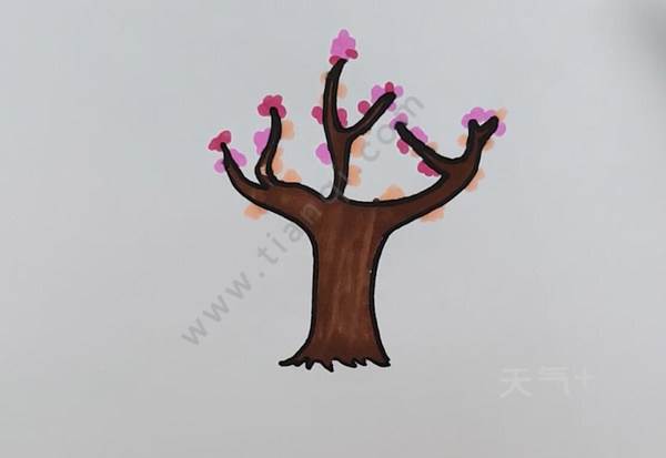 樱花树 简笔画