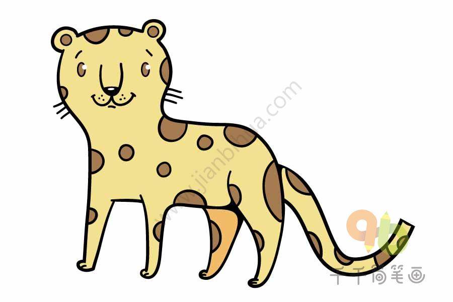 豹子简笔画