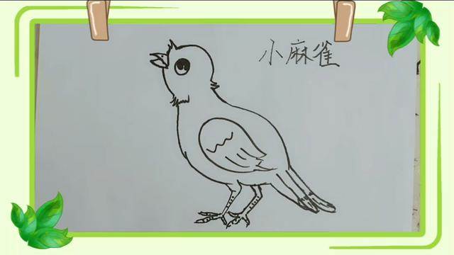 麻雀简笔画