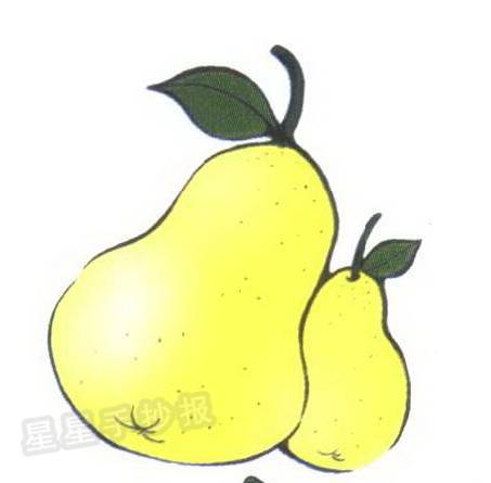 梨 简笔画