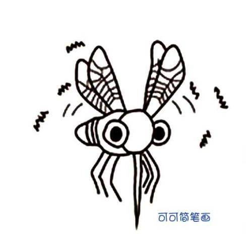 蚊子简笔画