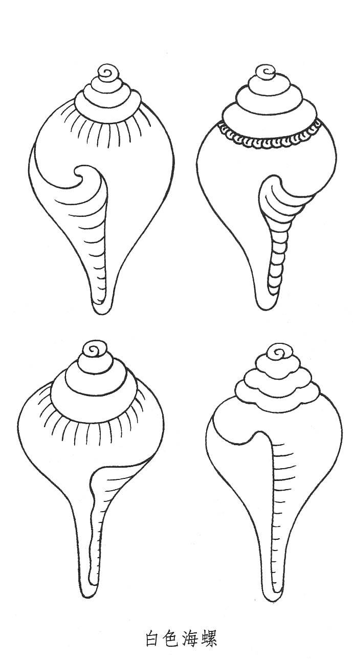 海螺简笔画