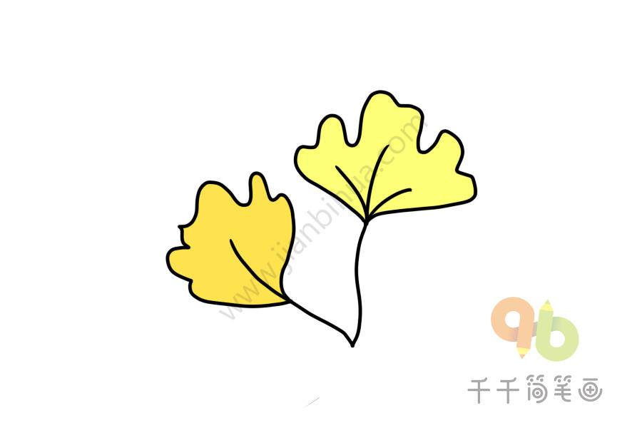 银杏简笔画