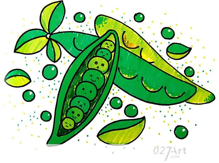 豌豆简笔画
