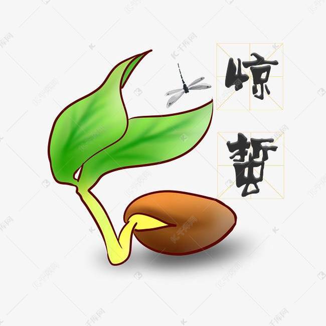 豆芽简笔画