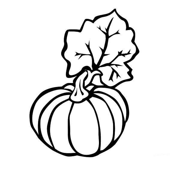 蔬菜的简笔画