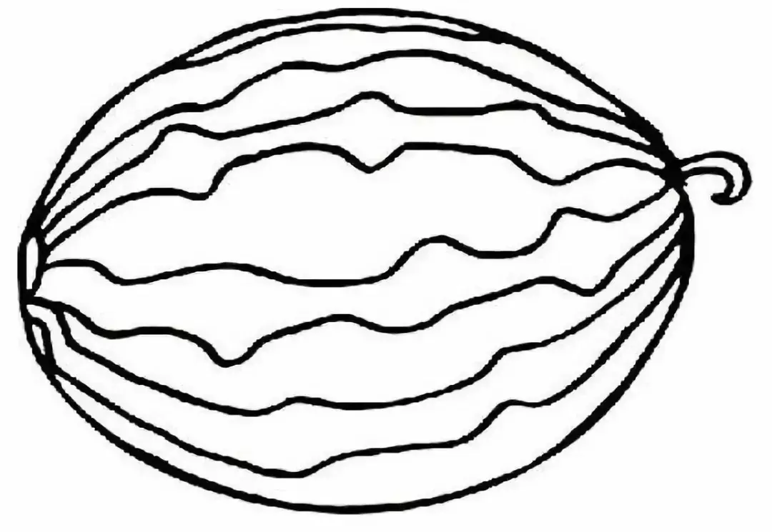 哈密瓜 简笔画