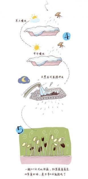 豆芽简笔画