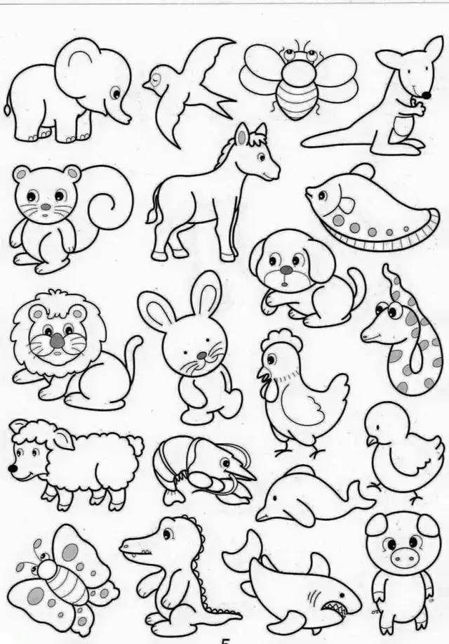 画动物图片大全简笔画