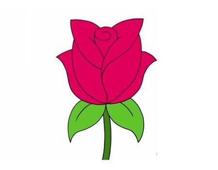 简笔画玫瑰
