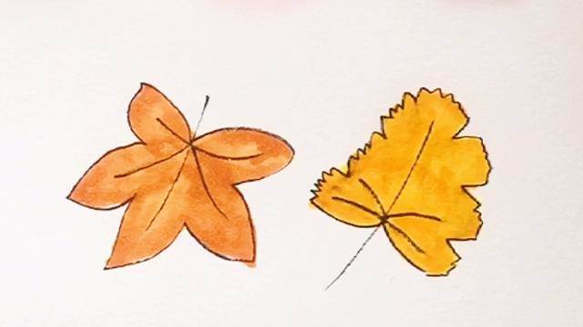 枫叶的简笔画