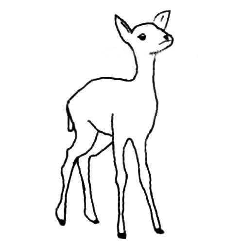 麋鹿简笔画