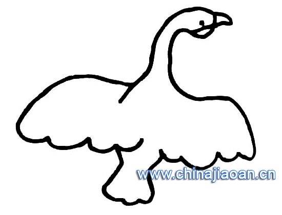 白天鹅简笔画
