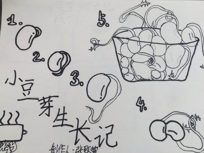 豆芽简笔画