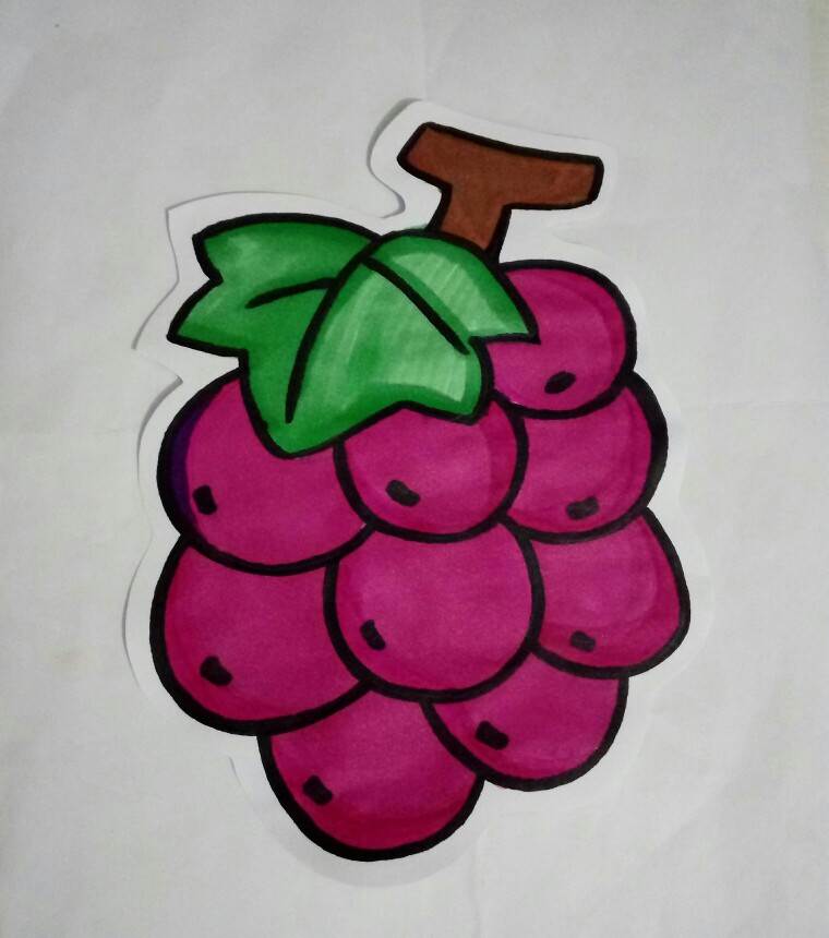 葡萄的简笔画