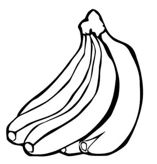 简笔画 蔬菜