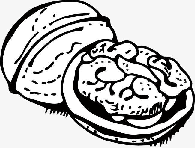 核桃简笔画