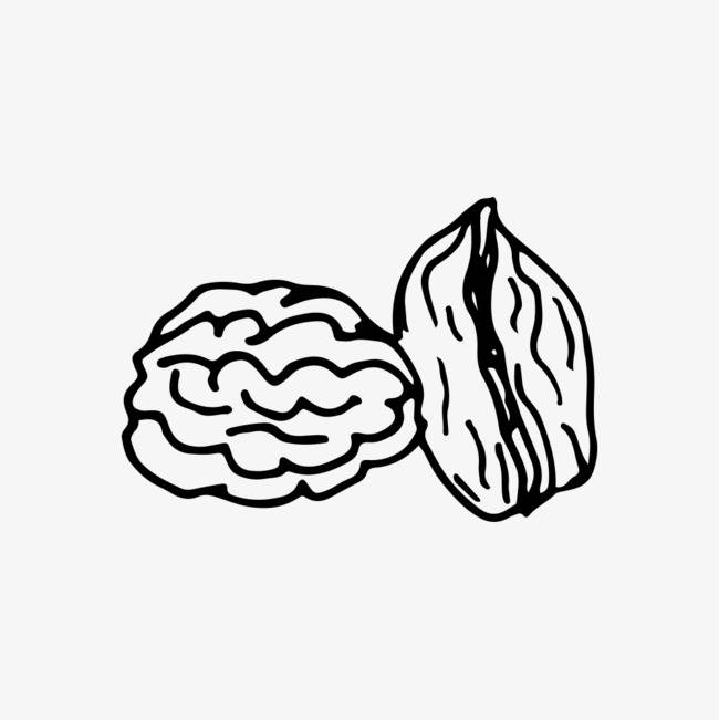 核桃简笔画