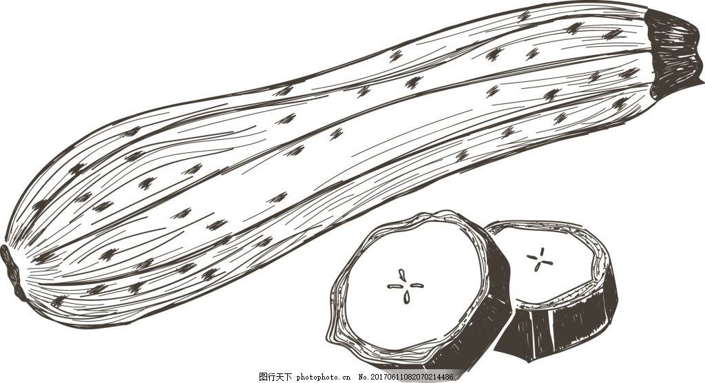 苦瓜简笔画