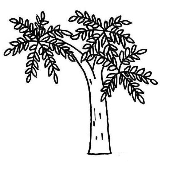 核桃简笔画