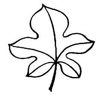 秋天的叶子简笔画
