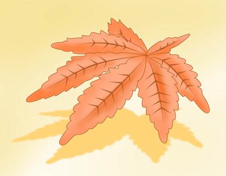 秋天的叶子简笔画