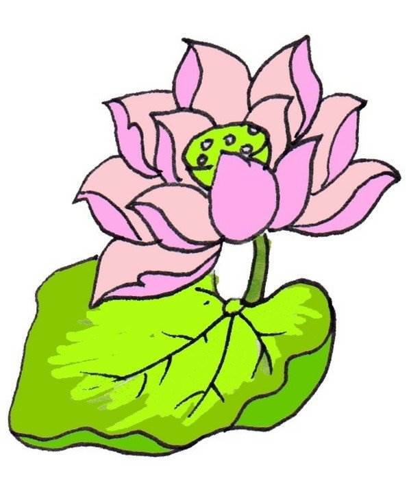 荷花怎么画简笔画