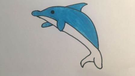 小海豚简笔画