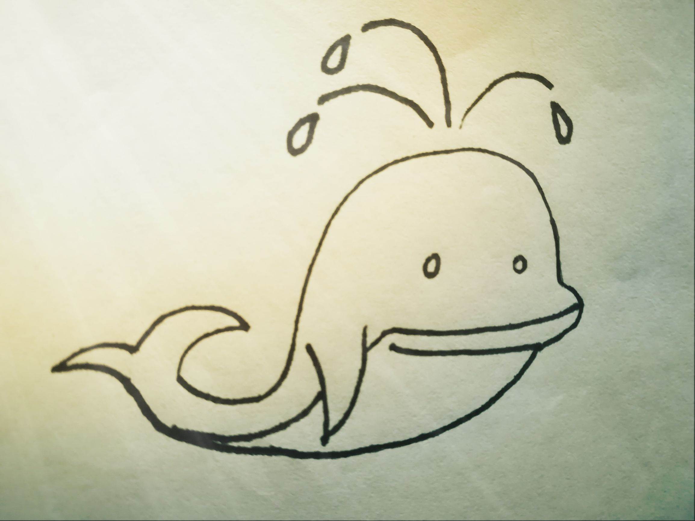小海豚简笔画