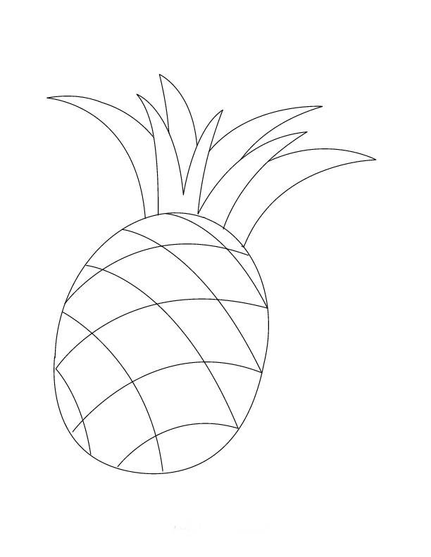 菠萝的简笔画