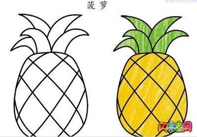 菠萝的简笔画