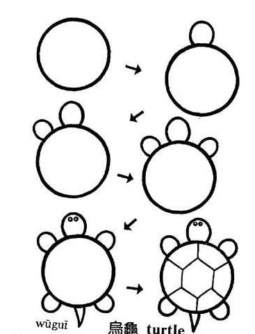 画乌龟简笔画
