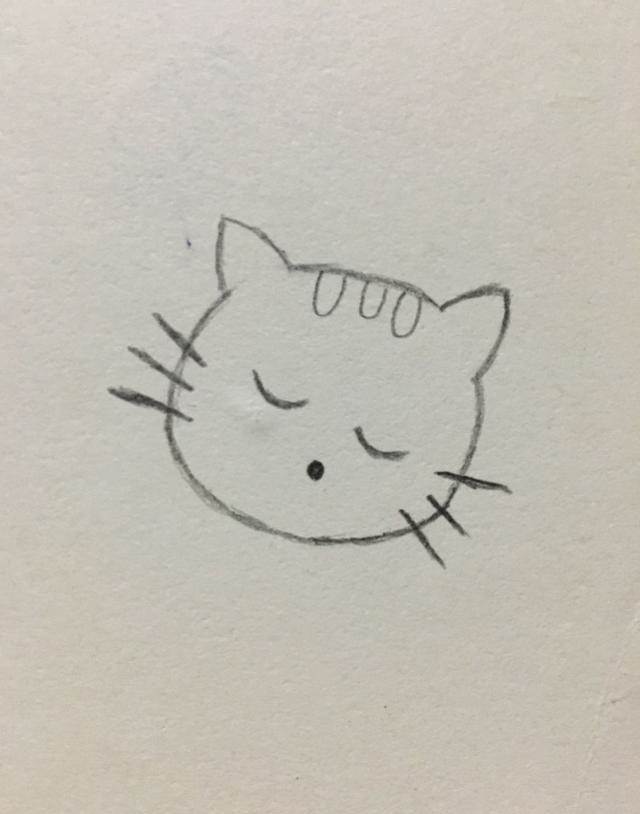 猫咪 简笔画