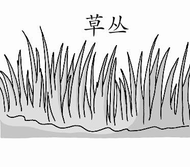 草简笔画