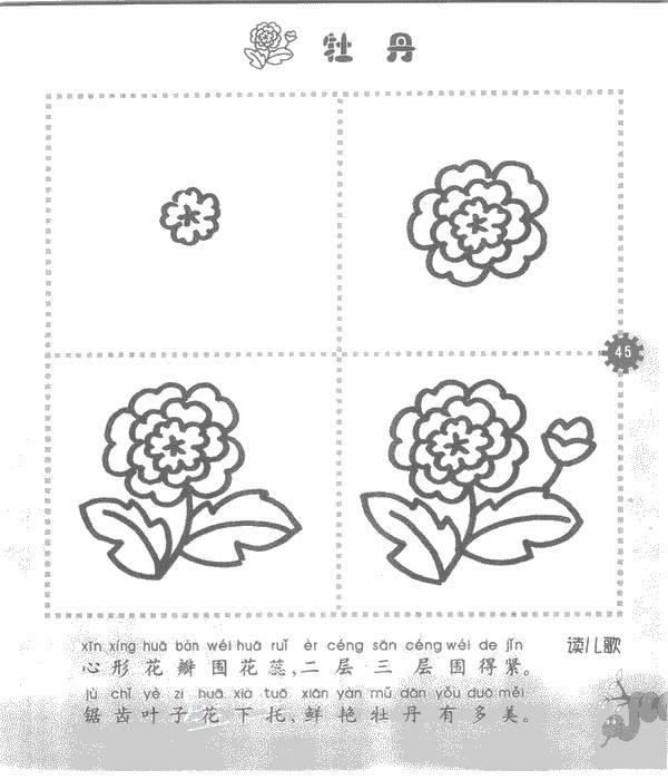 牡丹花简笔画