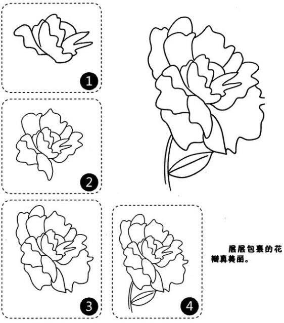 牡丹花简笔画