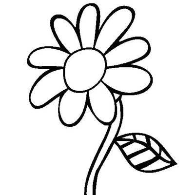 菊花的简笔画
