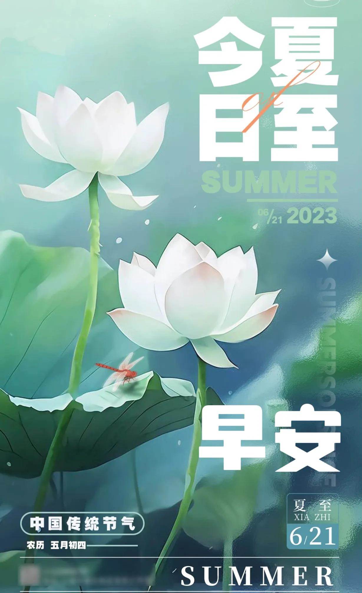 夏至早安高清图片